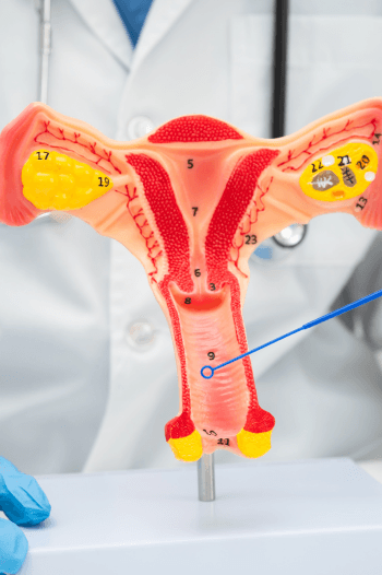 Pap Smear
